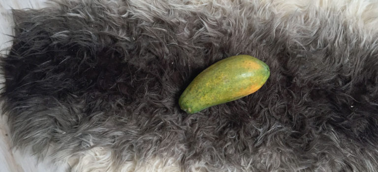 Papaya – LEBENSMITTEL sind mehr als Nahrungsmittel